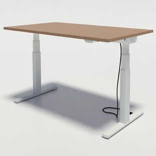 Elevate professional electric adjustable desk