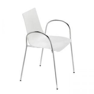 Zebra Technopolymer chair with arms