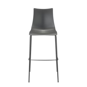 Zebra chair Technopolymer C h80
