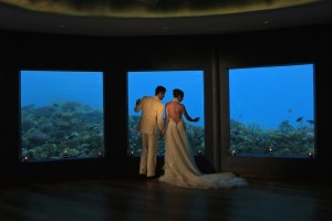 59900288-H1-Subsix_Wedding1
